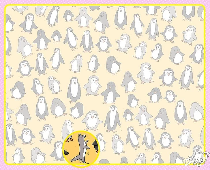 چند معمای تصویری برای آنهایی که توجه و دقت زیادی دارند